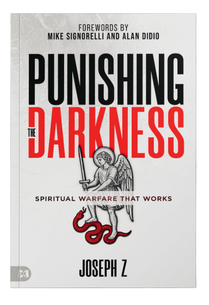Punishing the Darkness Book